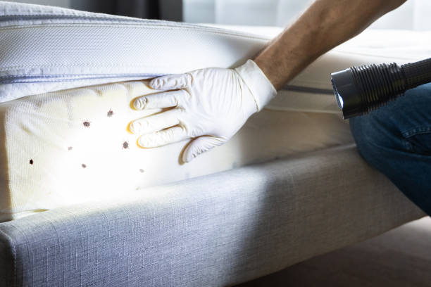 Trusted Hastings, MN Pest Control Experts